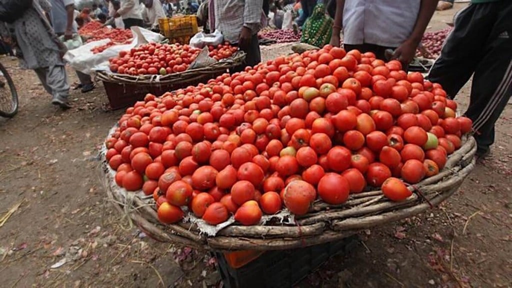 tomatoes, tomato prices, price hike, distribution centres, procurement, NAFED, NCCF, consumption centres, production seasons, new crop