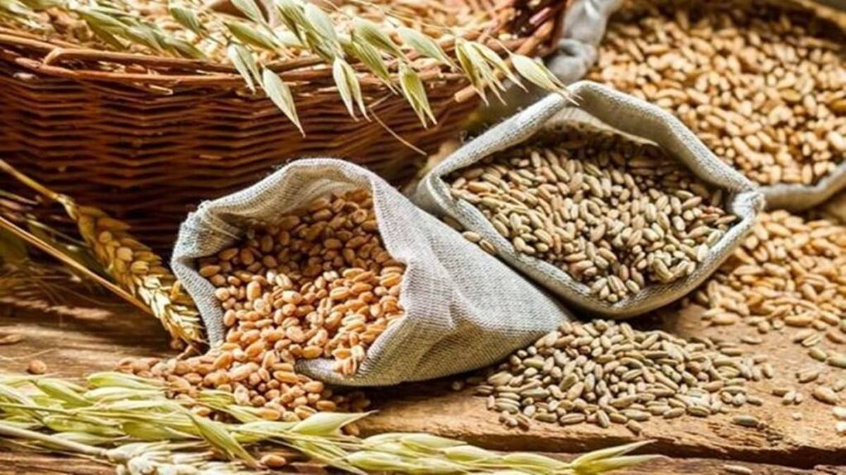 wheat, FCI wheat, FCI