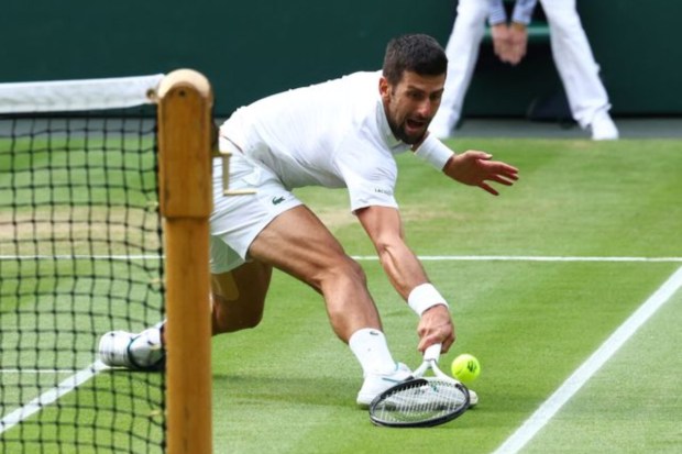 Djokovic in action during the match. (Image: Reuters)