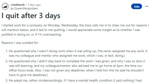 Woman quits job in three days, woman reddit post, Reddit, toxic work environment, Jobs, woman quits job over toxicity