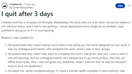 Woman quits job in three days, woman reddit post, Reddit, toxic work environment, Jobs, woman quits job over toxicity