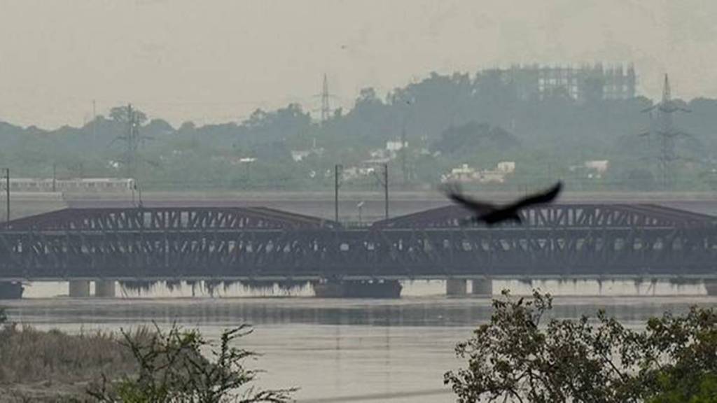 yamuna water level