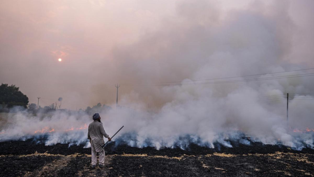 air pollution, air pollution report, air pollution south asia, south asia, life expectancy, financial express air pollution, air pollution report, air pollution south asia, south asia, life expectancy, financial express