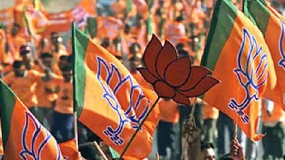 The reshuffle was officially ratified by the BJP central office in New Delhi. (File photo) The reshuffle was officially ratified by the BJP central office in New Delhi. (File photo)