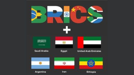 BRICS (4)