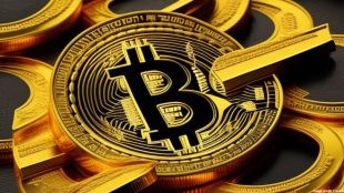 Sei Network is a Layer 1 trading blockchain