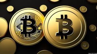 It’s believed that the companies are moving away from crypto winter