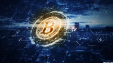 Experts believe that bear markets are a part of the crypto world