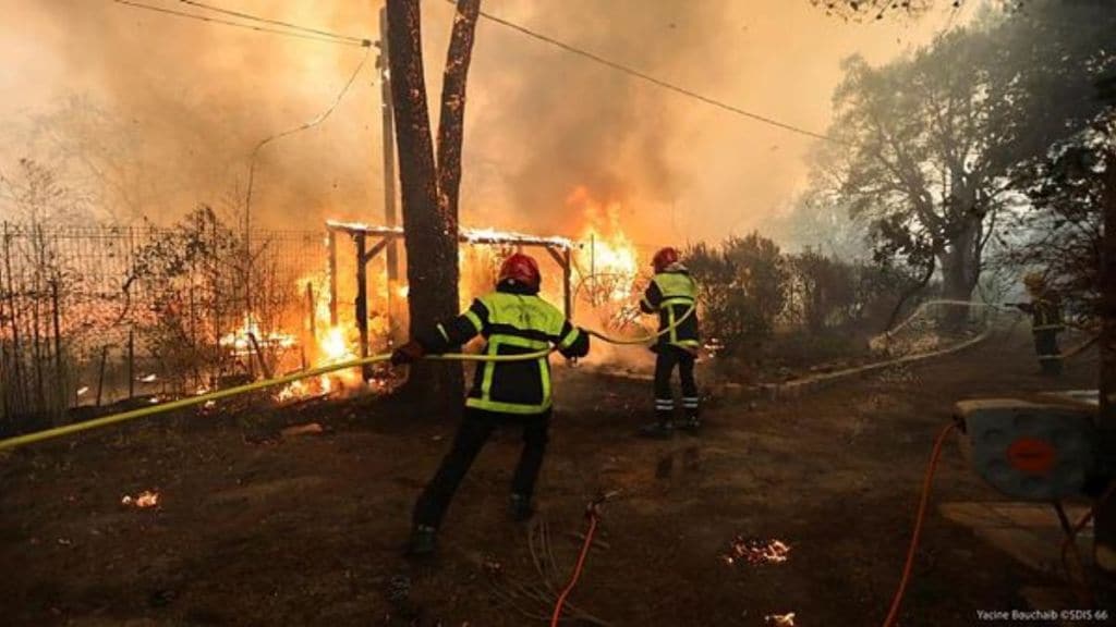 Maui wildfires