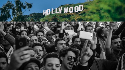 Jobs typically evolve rather than disappearing outright