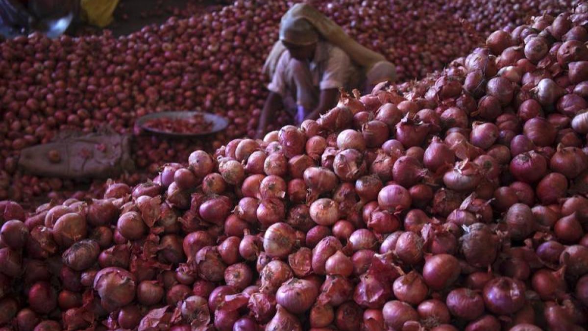 onion onion