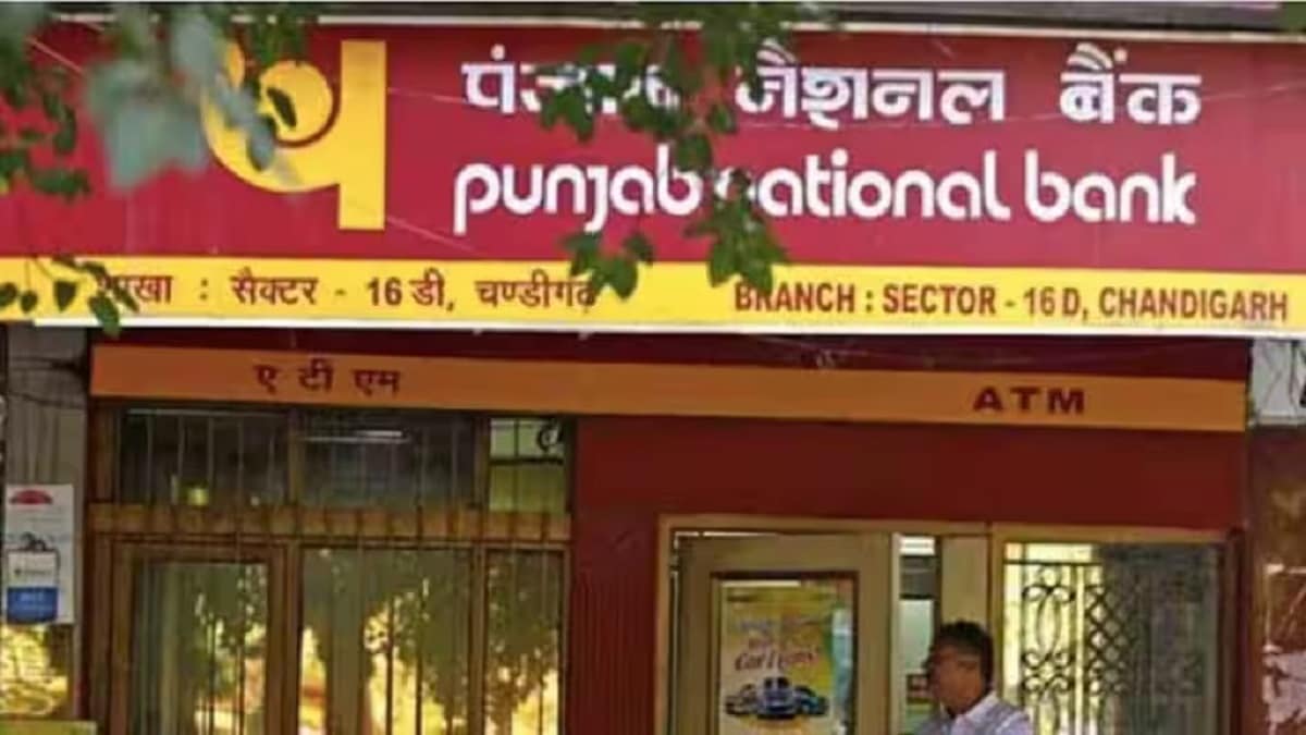 punjab national bank, pnb,