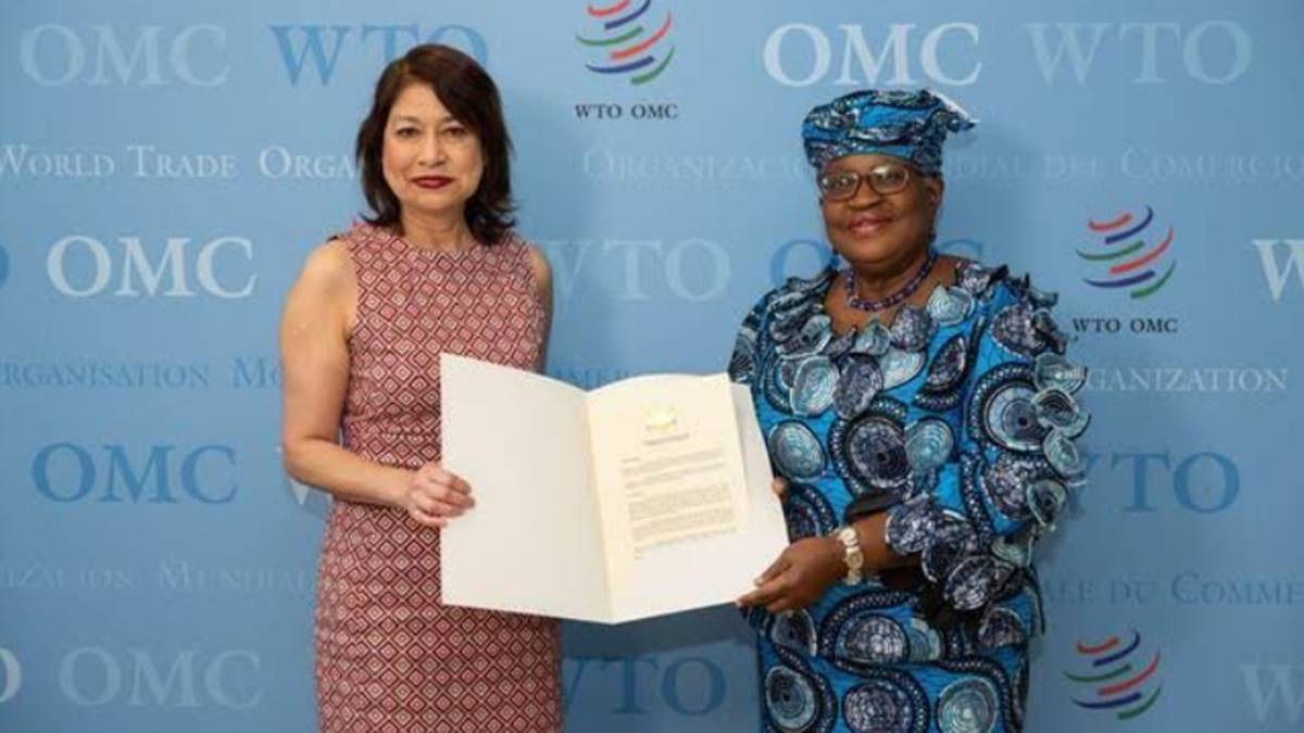 Peru Leads the Way in Sustainable Fisheries: A Historic Step towards ...