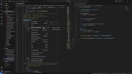It’s believed that the watsonx Code Assistant product portfolio will extend over time