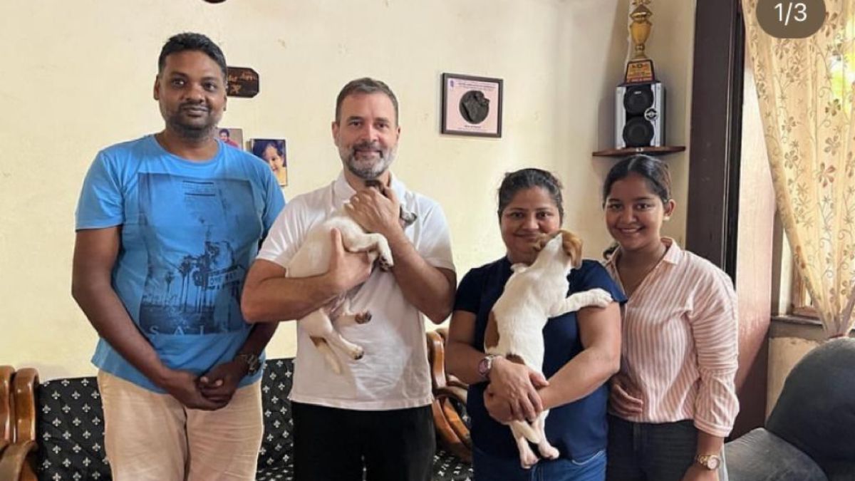 Rahul Gandhi, Goa