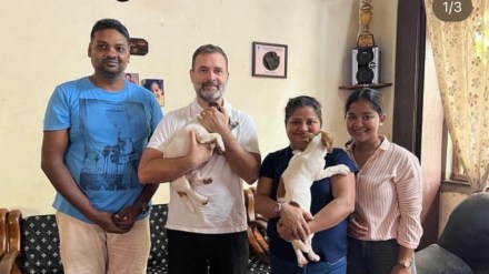 Rahul Gandhi, Goa