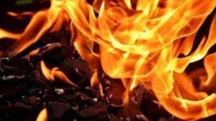 Nuh Violence| Haryana Violence Nuh Violence| Haryana Violence