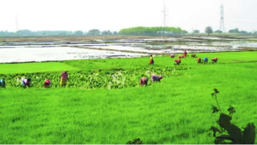 agriculture
