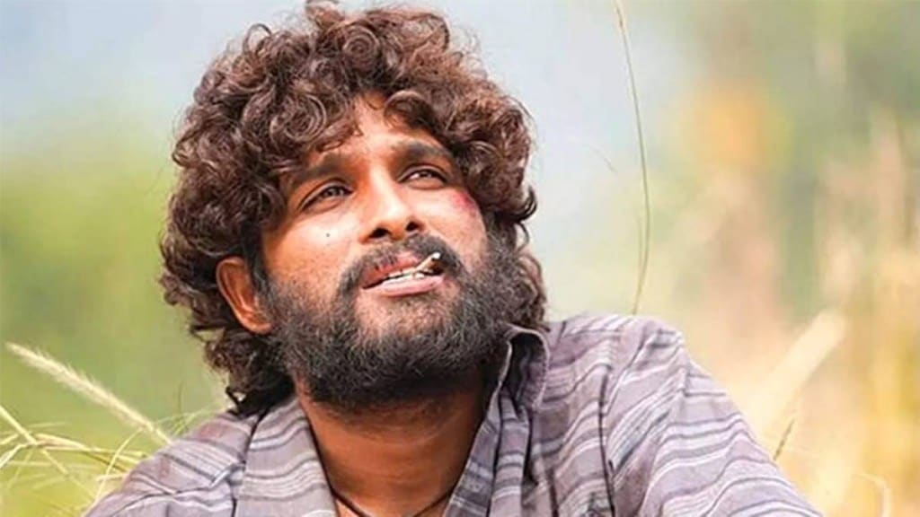 Allu Arjun, Allu Arjun award, Allu Arjun pushpa, pushpa the rise, lifestyle, entertainment