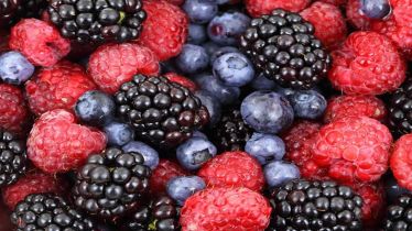 Vitamin P, Vitamin P benefits, Vitamin P side effects, healthcare news, wellness news