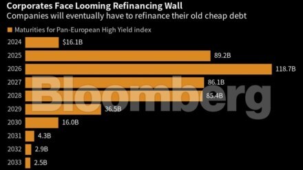 bloomberg