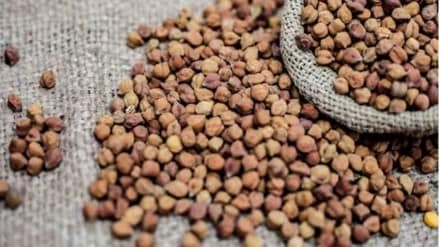 chana