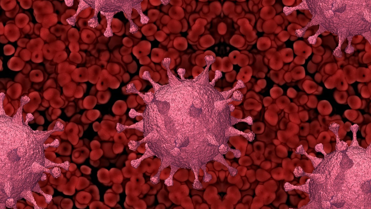 disease x, covid-19, covid-19 pandemic, new virus, WHO, kate bingham disease x, covid-19, covid-19 pandemic, new virus, WHO, kate bingham