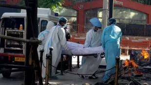 covid-19, covid deaths, neews