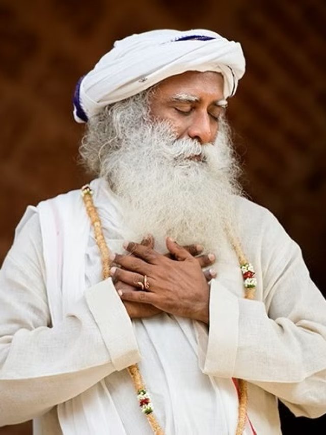 1640302516-dec-24-20171010sun0166-e