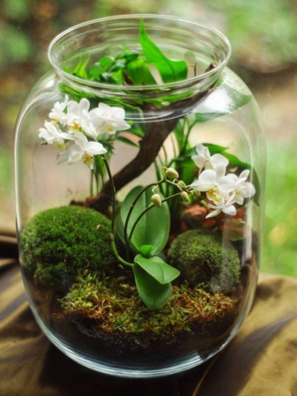 Top Flexi Cap Mutual Fund schemes in 3 years August 2023