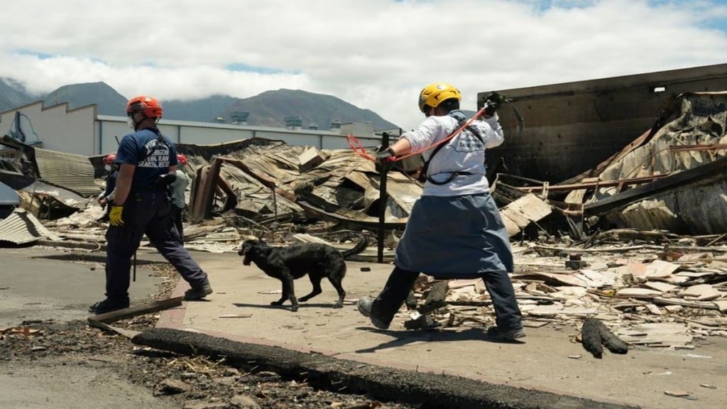 Hawaii wildfire, Maui wildfire,