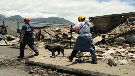 Hawaii wildfire, Maui wildfire,