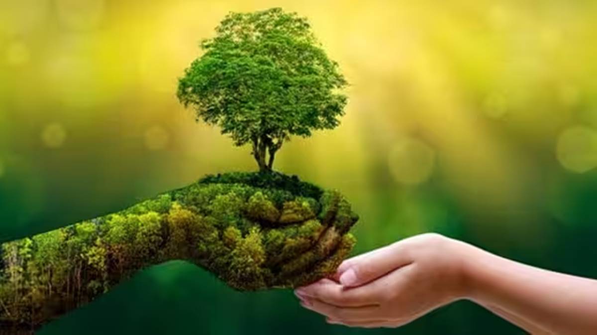ecological balance ecological balance
