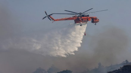 wildfire