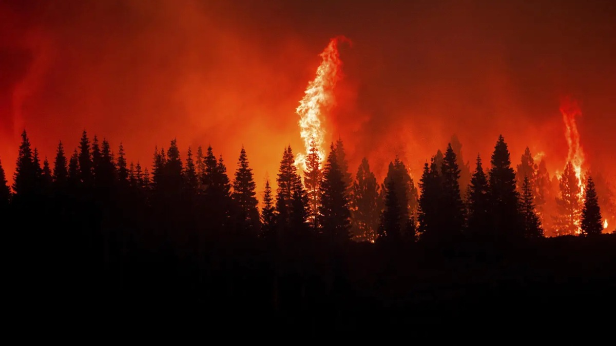 California fires, US forest fires, wildfires in US, Hawaii wildfires, death toll wildfires