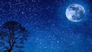 Uttar Pradesh, Uttar Pradesh news, uttar pradesh police, crime, crime news, hindu panchang, UP DGP