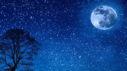 Uttar Pradesh, Uttar Pradesh news, uttar pradesh police, crime, crime news, hindu panchang, UP DGP