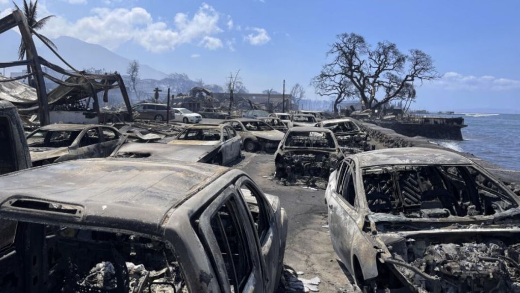 hawai wildfire
