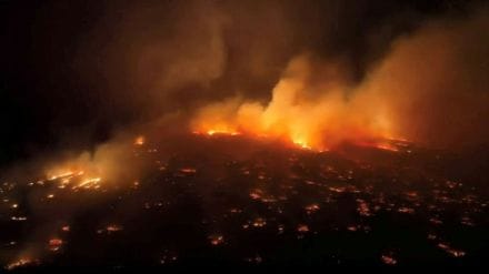 hawaii, world, world news, hawaii island, wildfires, traveler, travelling, hawaiin island,