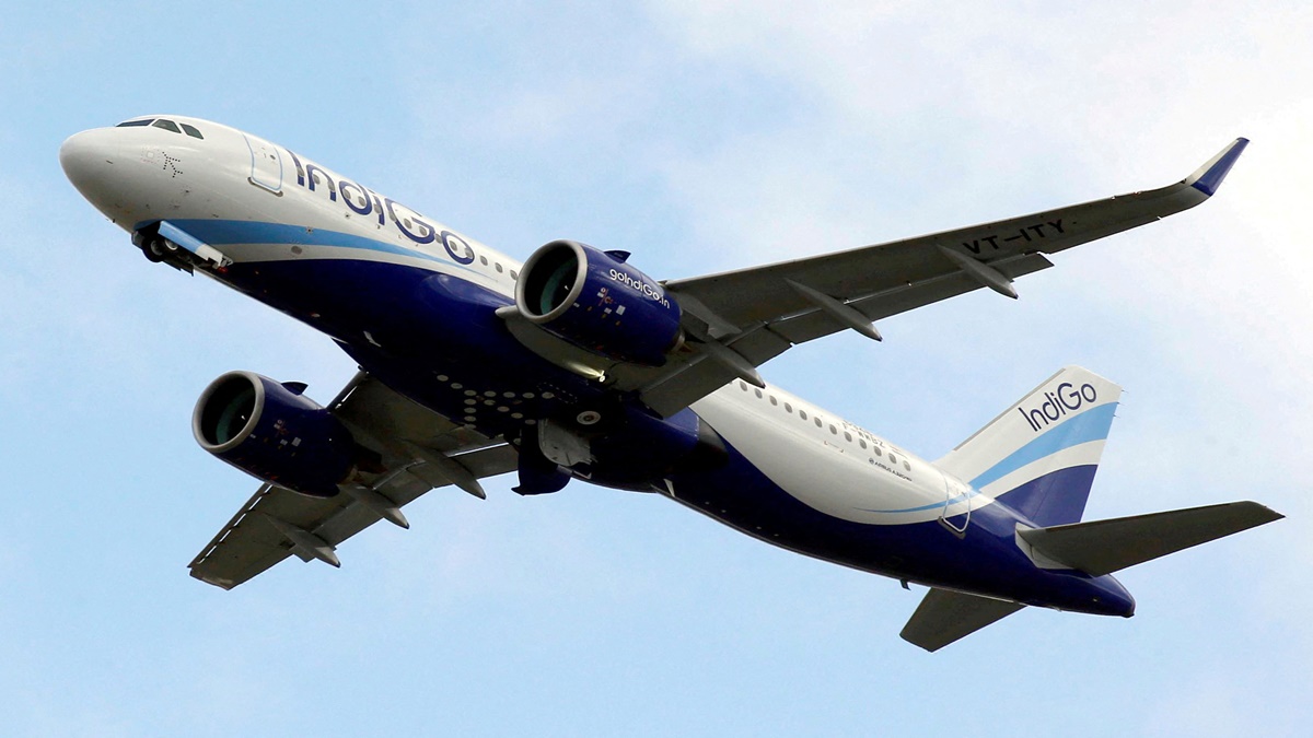 Indigo, Indigo shares, Indigo, Indigo shares,
