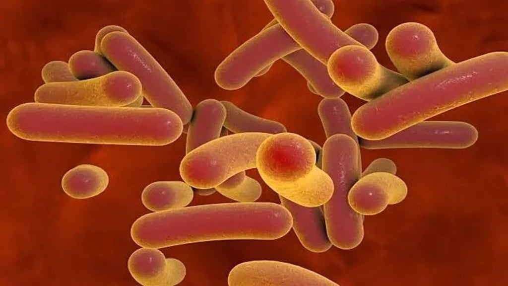 Flesh-eating bacteria, Vibrio vulnificus, vibriosis, bacterial infection, healthcare news,