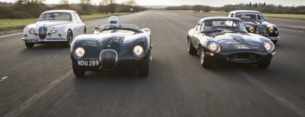 jaguar