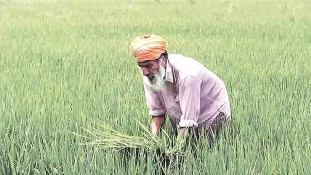 kharif, economy kharif, economy