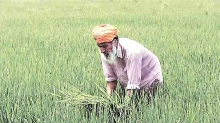 kharif, economy