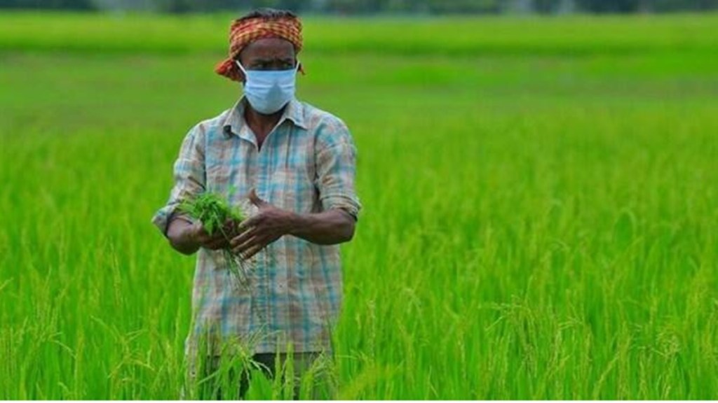 kharif