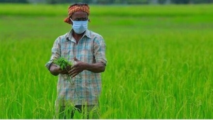 kharif