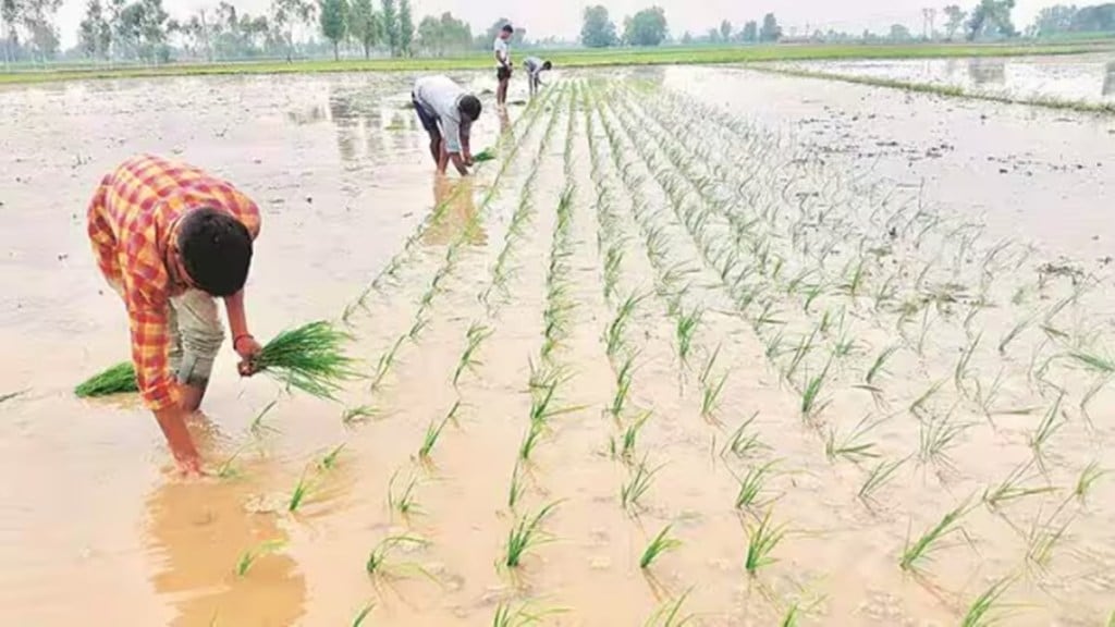 kharif, economy kharif, economy