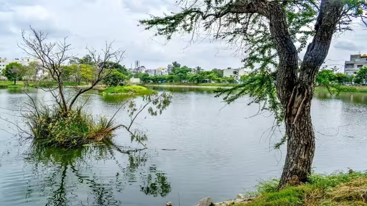 Bengaluru lake