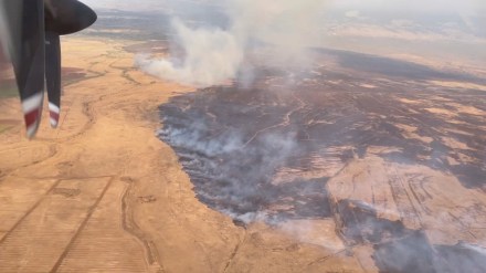 hawaii, world, world news, hawaii island, wildfires, traveler, travelling, hawaiin island,