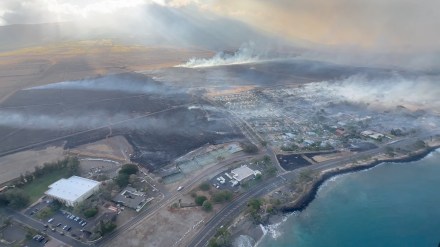 Maui wildfire